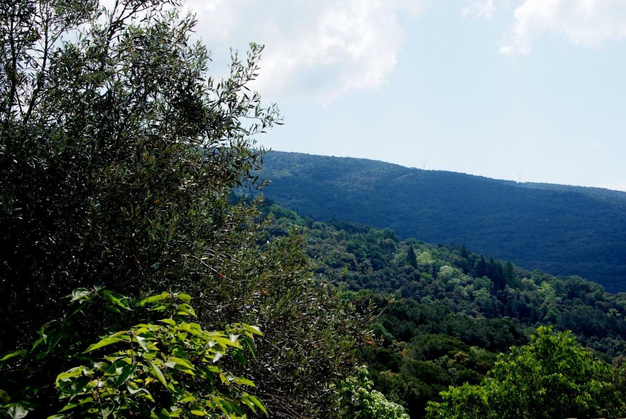 Hostal Montserrat Montseny Exterior photo