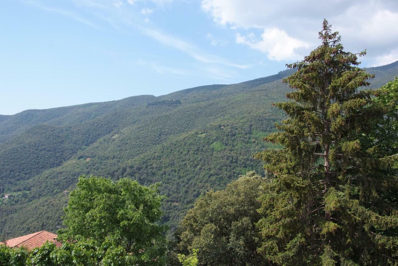 Hostal Montserrat Montseny Exterior photo
